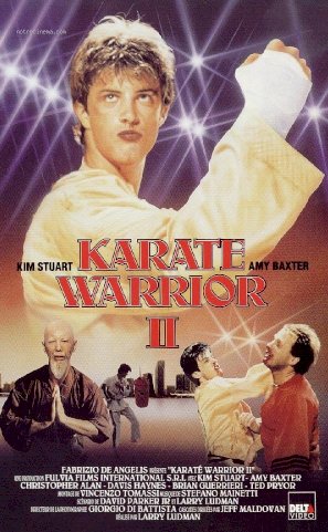 Karate Warrior 2 - Movie Poster Karate Warrior 2 - Movie Poster