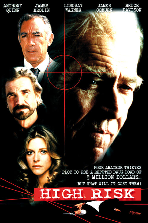 High Risk - Movie Poster