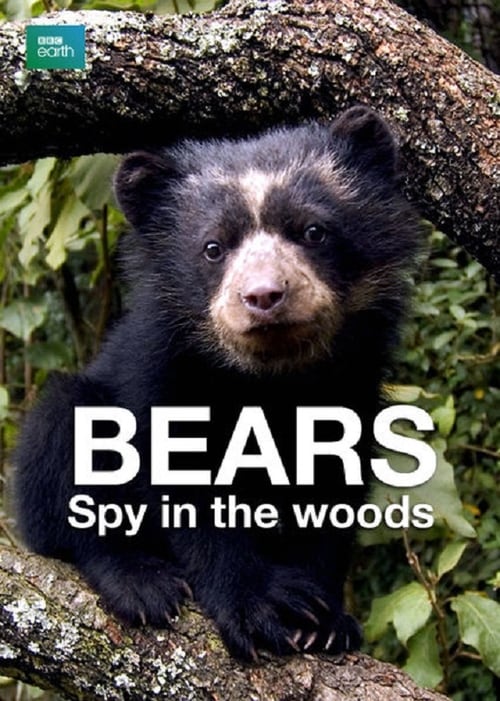 Bears: Spy in the Woods - Movie Poster Bears: Spy in the Woods - Movie Poster