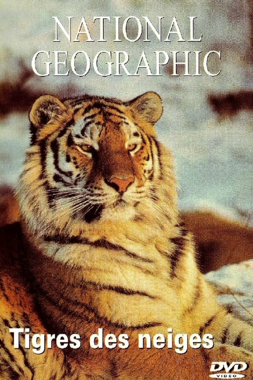 Tigers of the Snow - Movie Poster Tigers of the Snow - Movie Poster