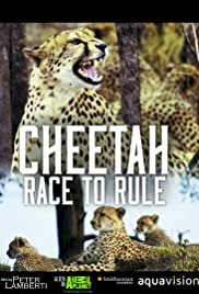 Cheetah: Race to Rule - Movie Poster Cheetah: Race to Rule - Movie Poster