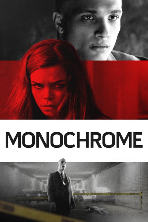 Monochrome - Movie Poster Monochrome - Movie Poster