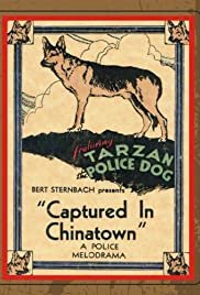 Captured in Chinatown - Movie Poster Captured in Chinatown - Movie Poster