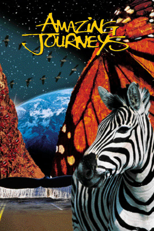 Amazing Journeys - Movie Poster Amazing Journeys - Movie Poster