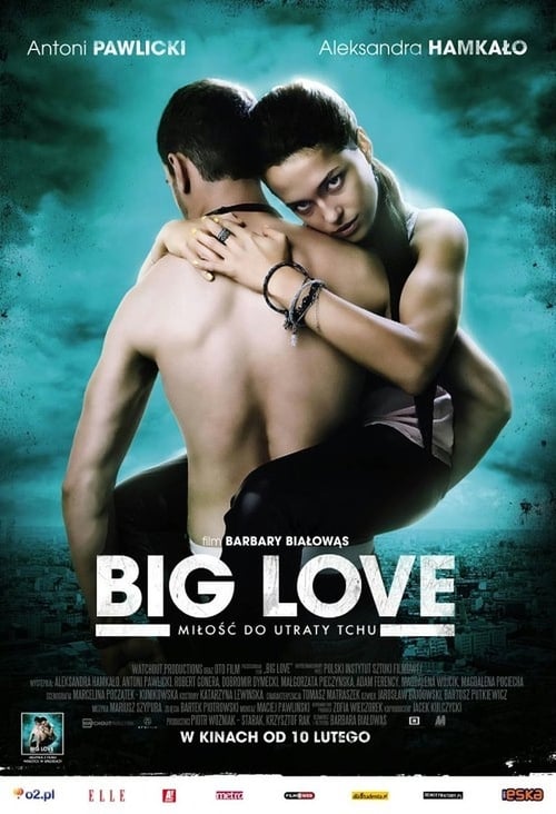 Big Love - Movie Poster Big Love - Movie Poster