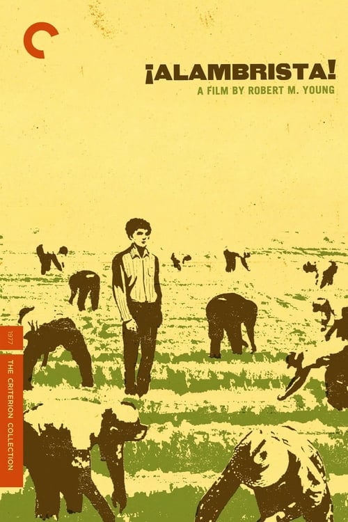Alambrista! - Movie Poster Alambrista! - Movie Poster