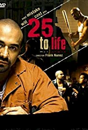 25 to Life - Movie Poster