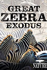 Nature: Great Zebra Exodus - Movie Poster Nature: Great Zebra Exodus - Movie Poster