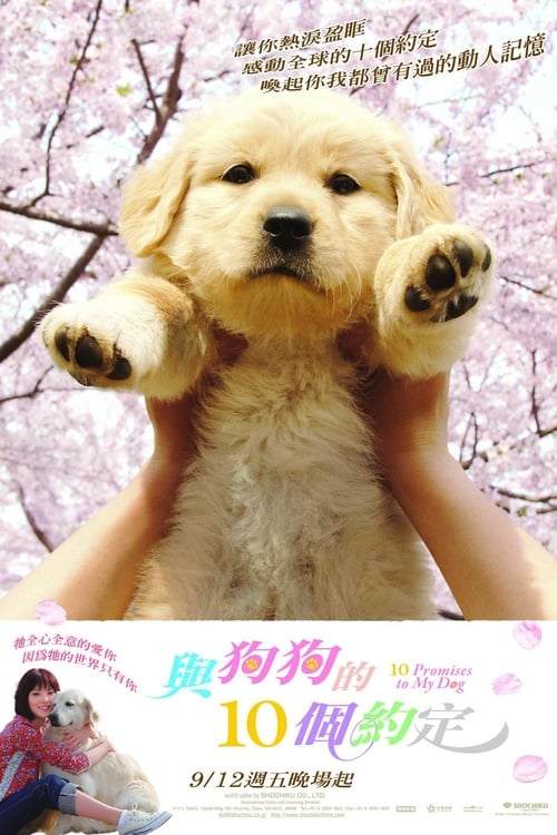 10 Promises to My Dog - Movie Poster