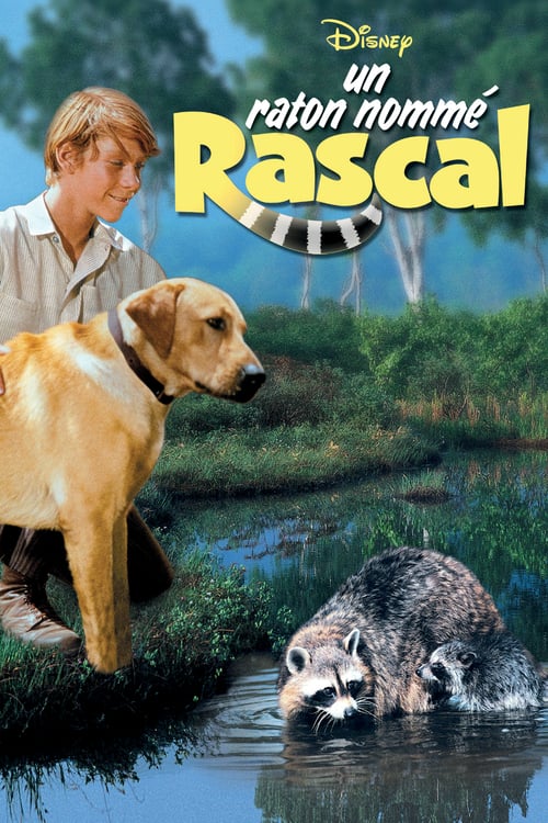 Rascal - Movie Poster Rascal - Movie Poster