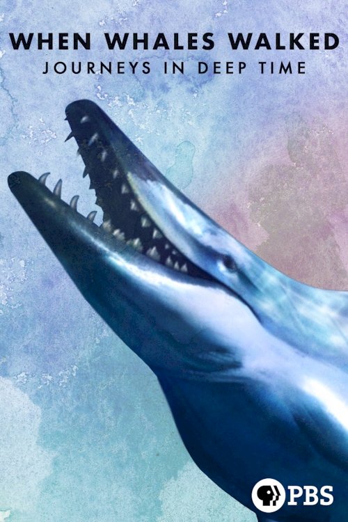When Whales Walked: Journeys in Deep Time - Movie Poster When Whales Walked: Journeys in Deep Time - Movie Poster
