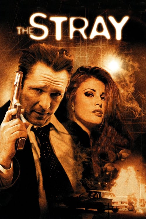 The Stray - Movie Poster The Stray - Movie Poster