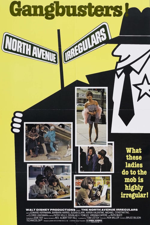 The North Avenue Irregulars - Movie Poster The North Avenue Irregulars - Movie Poster