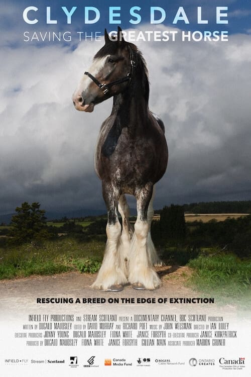 Clydesdale: Saving the Greatest Horse - Movie Poster Clydesdale: Saving the Greatest Horse - Movie Poster