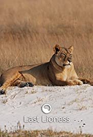 The Last Lioness - Movie Poster The Last Lioness - Movie Poster