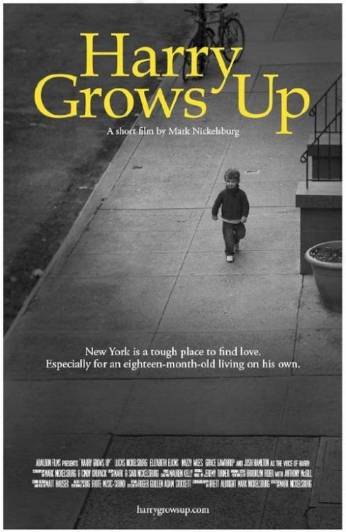 Harry Grows Up - Movie Poster Harry Grows Up - Movie Poster