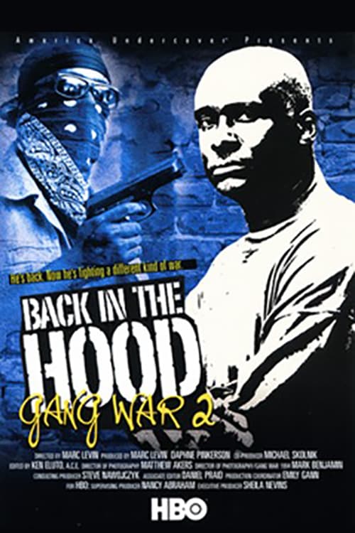 Back in the Hood: Gang War 2 - Movie Poster Back in the Hood: Gang War 2 - Movie Poster