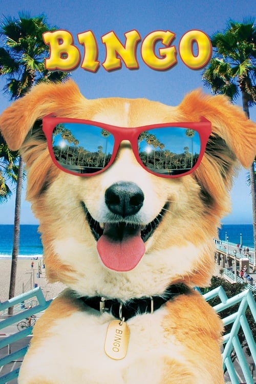 Bingo - Movie Poster Bingo - Movie Poster