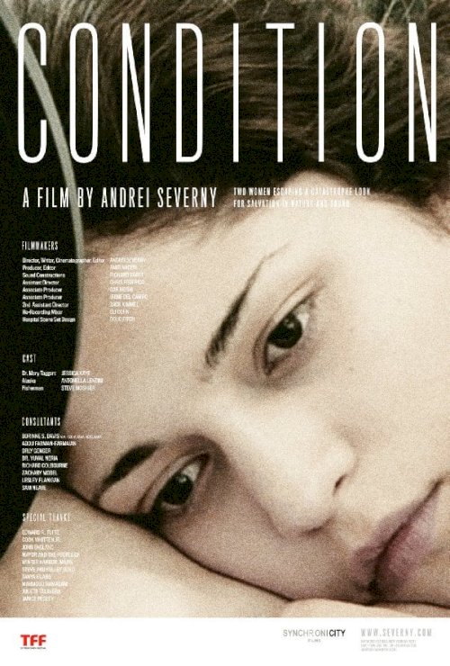 Condition - Movie Poster Condition - Movie Poster