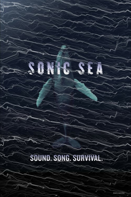 Sonic Sea - Movie Poster Sonic Sea - Movie Poster