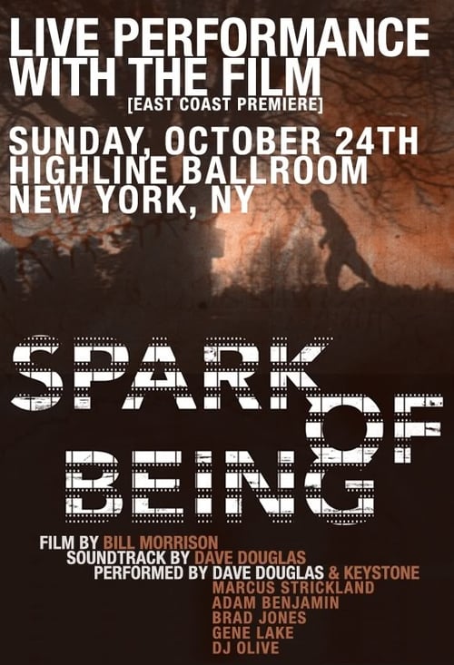 Spark of Being - Movie Poster Spark of Being - Movie Poster