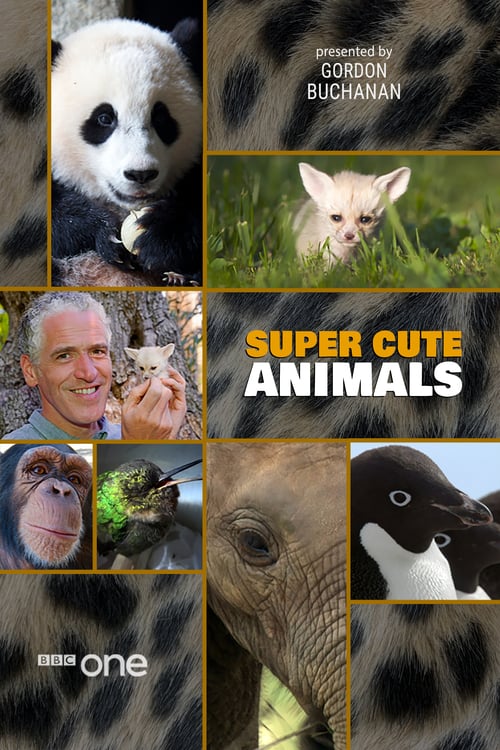 Super Cute Animals - Movie Poster Super Cute Animals - Movie Poster