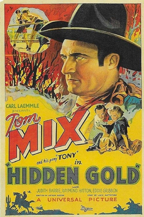 Hidden Gold - Movie Poster Hidden Gold - Movie Poster
