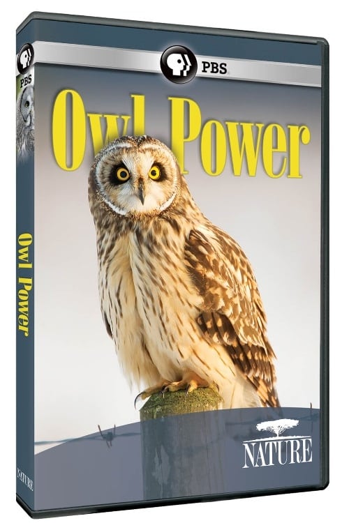 Owl Power - Movie Poster Owl Power - Movie Poster