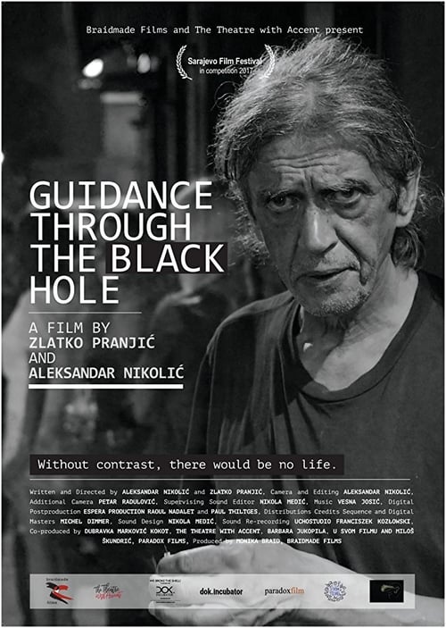 Guidance Through the Black Hole - Movie Poster Guidance Through the Black Hole - Movie Poster