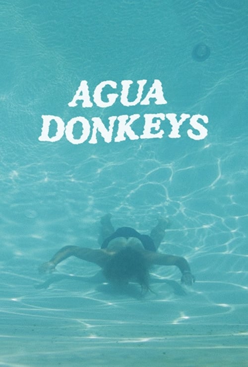 Agua Donkeys - Movie Poster Agua Donkeys - Movie Poster