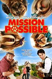 Mission Possible - Movie Poster Mission Possible - Movie Poster