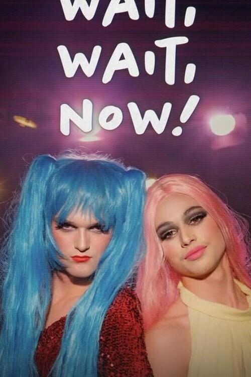 Wait, Wait, Now! - Movie Poster Wait, Wait, Now! - Movie Poster