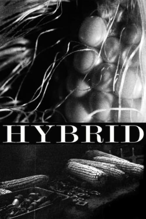 Hybrid - Movie Poster Hybrid - Movie Poster