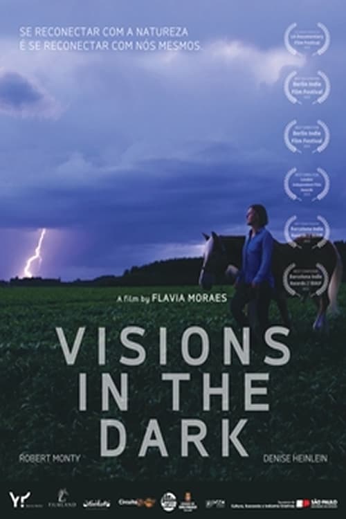 Visions in the Dark - Movie Poster Visions in the Dark - Movie Poster