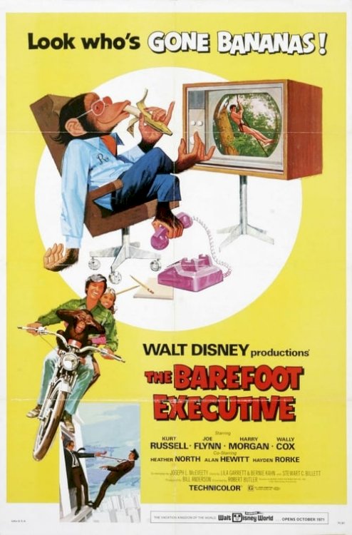 The Barefoot Executive - Movie Poster The Barefoot Executive - Movie Poster