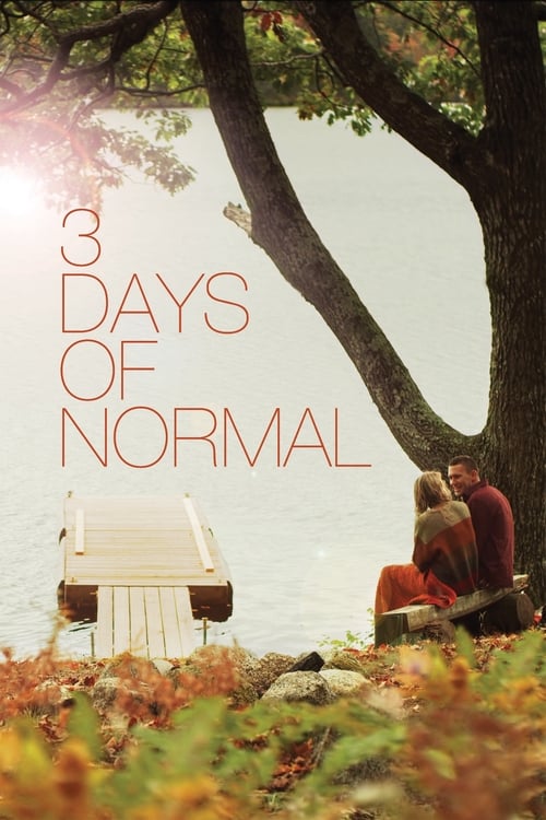 3 Days of Normal - Movie Poster 3 Days of Normal - Movie Poster