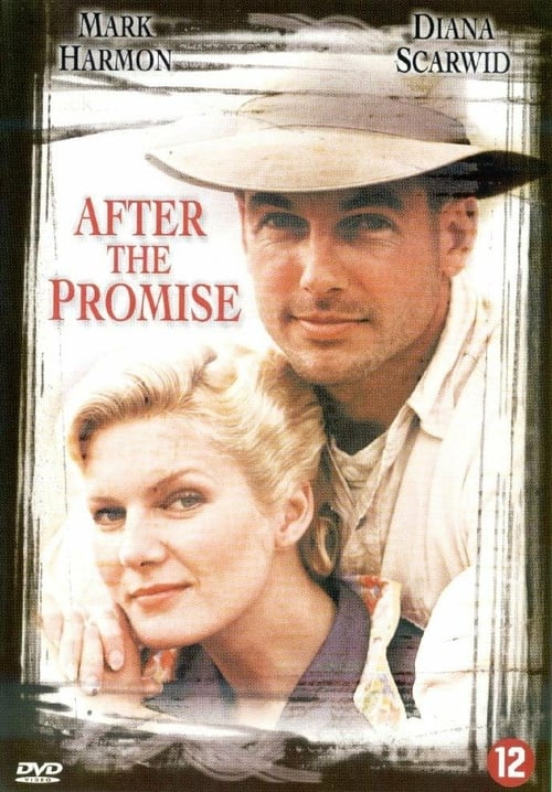 After the Promise - Movie Poster After the Promise - Movie Poster
