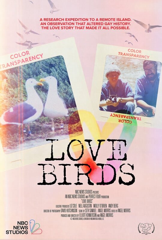 Love Birds - Movie Poster Love Birds - Movie Poster