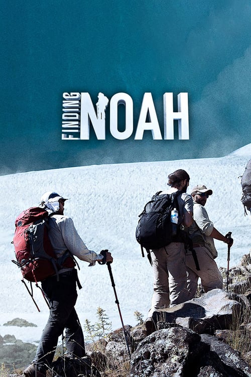 Finding Noah - Movie Poster Finding Noah - Movie Poster