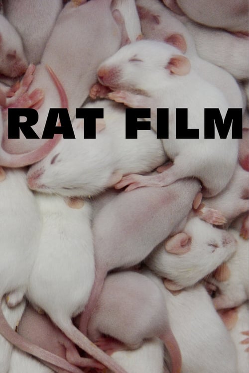 Rat Film - Movie Poster Rat Film - Movie Poster