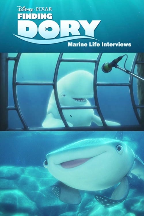 Marine Life Interviews - Movie Poster Marine Life Interviews - Movie Poster