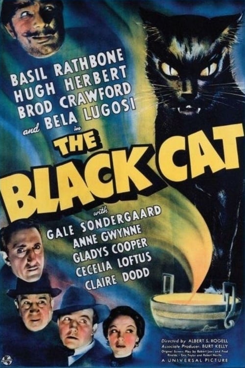 The Black Cat - Movie Poster The Black Cat - Movie Poster