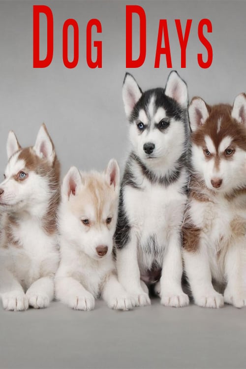 Dog Days - Movie Poster Dog Days - Movie Poster