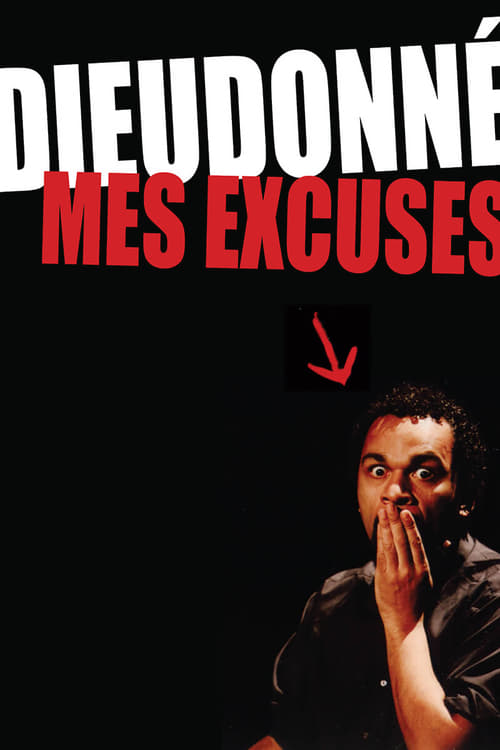 Mes excuses - Movie Poster