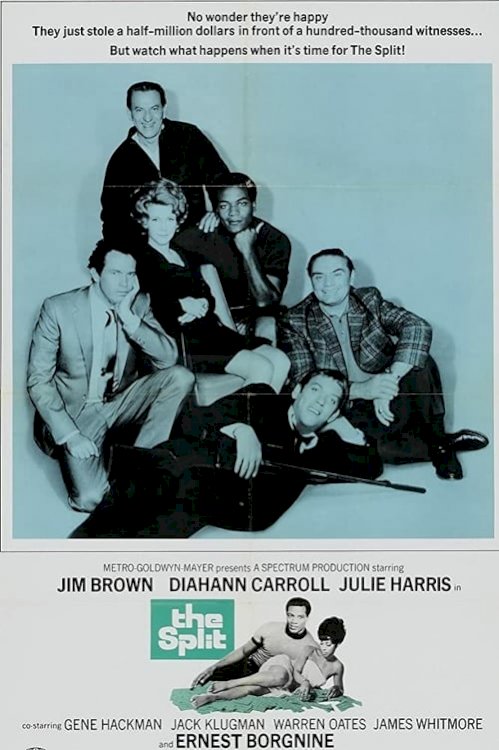 The Split - Movie Poster