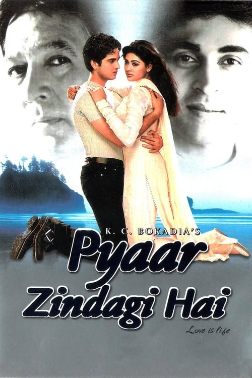 Pyaar Zindagi Hai - Movie Poster