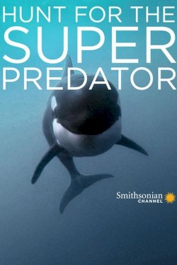 The Search for the Ocean's Super Predator - Movie Poster The Search for the Ocean's Super Predator - Movie Poster