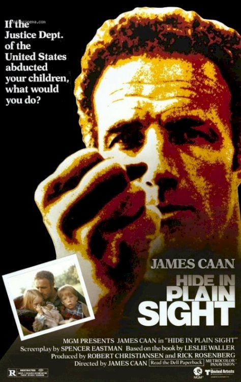 Hide in Plain Sight - Movie Poster Hide in Plain Sight - Movie Poster