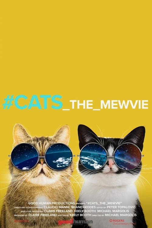 #cats_the_mewvie - Movie Poster #cats_the_mewvie - Movie Poster