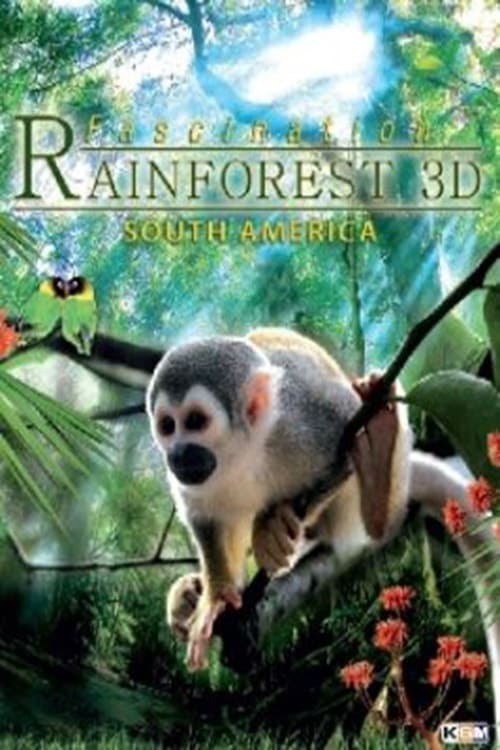 Fascination Rainforest 3D - Movie Poster Fascination Rainforest 3D - Movie Poster